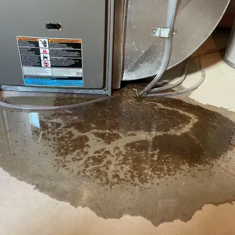 Appliance Leak Cleanup in Lincoln County, ID